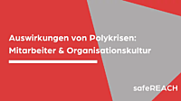 Wie wirkt sich eine Polykrise auf Mitarbeiter & Organisationskultur aus?